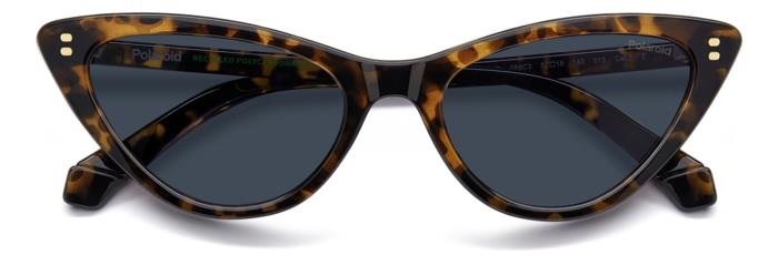 Polaroid {Product.Name} Sunglasses PLD6246/S 086/C3