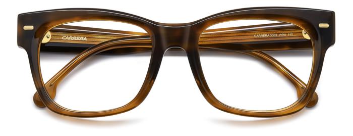 Carrera Eyeglasses CA3063 WR9