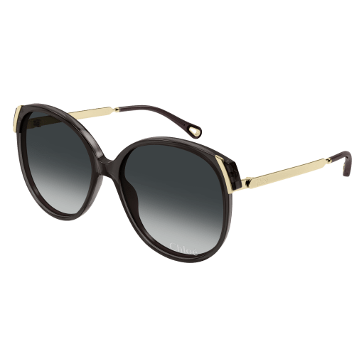 New Chloé Sunglasses 2025 for Women | LookerOnline