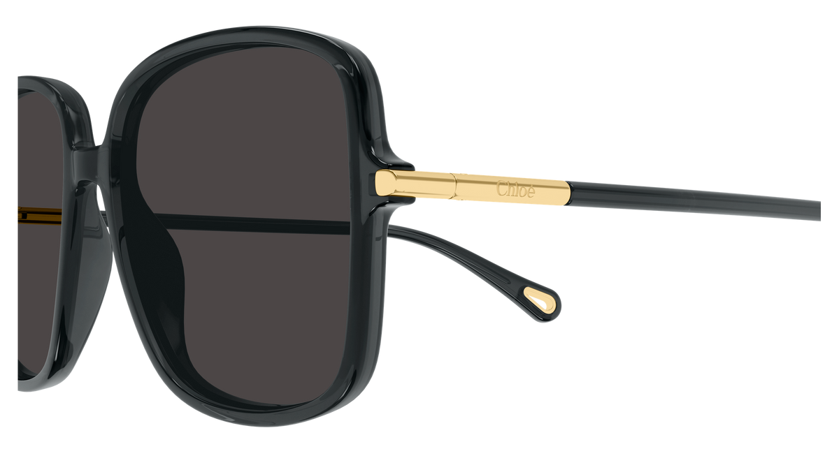 Chloe CH0396S 001