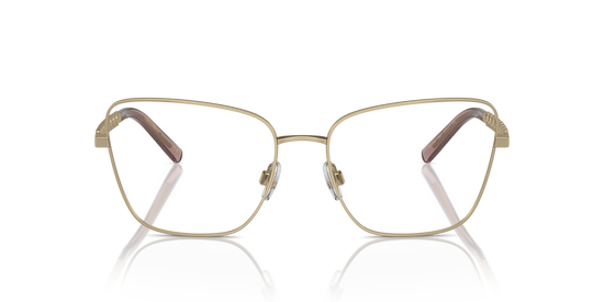 Dolce & Gabbana Eyeglasses DG1346 1365