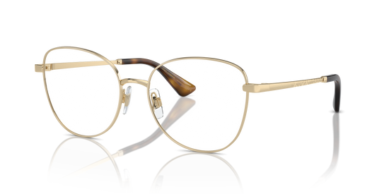 Dolce & Gabbana Eyeglasses DG1355 1365