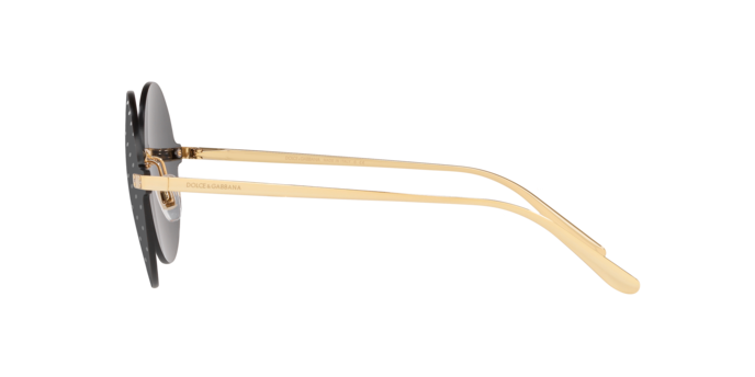 Dolce & Gabbana Sunglasses DG2228 02/L