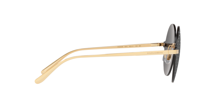 Dolce & Gabbana Sunglasses DG2228 02/L