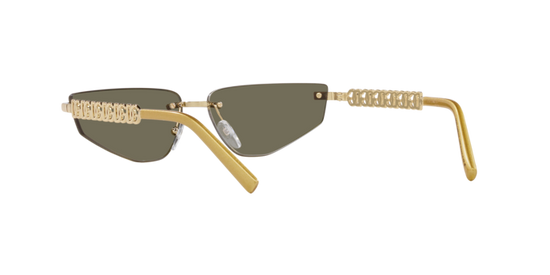 Dolce & Gabbana Sunglasses DG2301 02/03