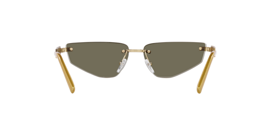 Dolce & Gabbana Sunglasses DG2301 02/03