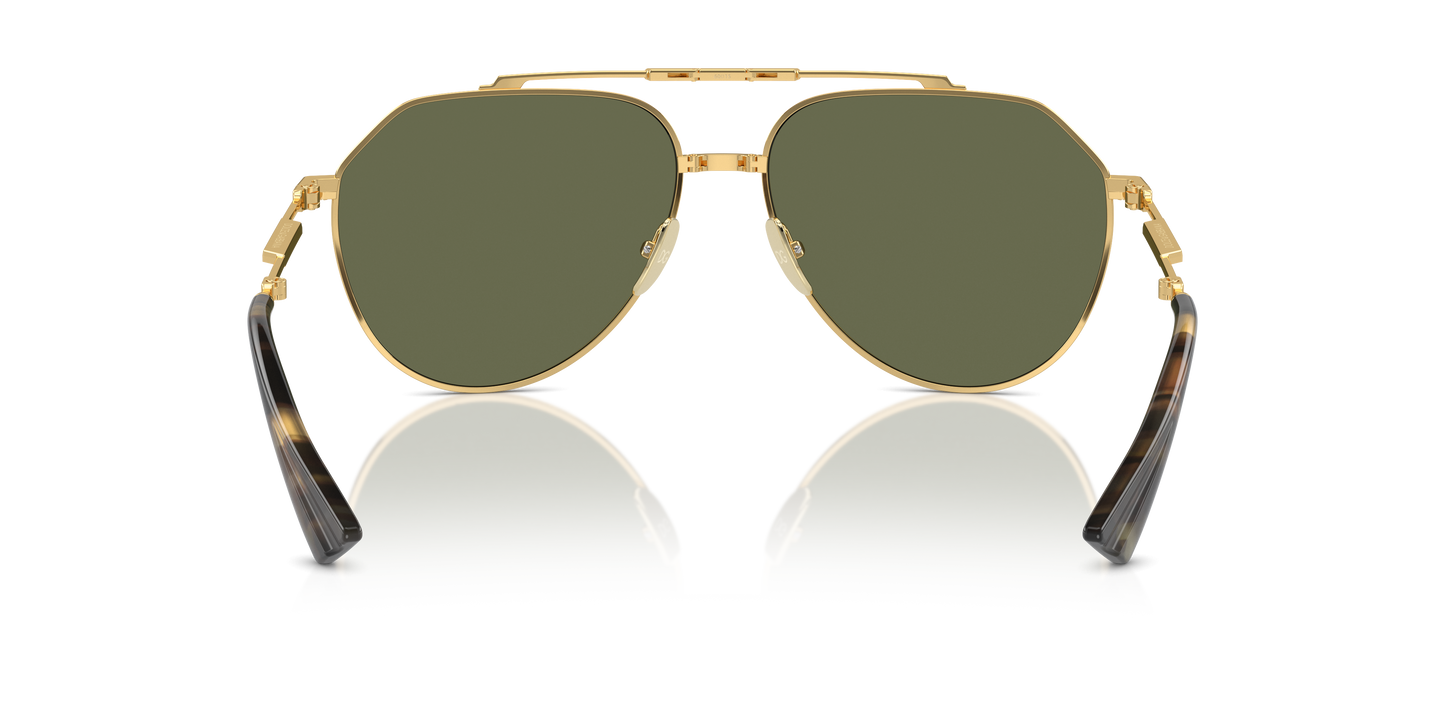 Dolce & Gabbana Sunglasses DG2302 02/58