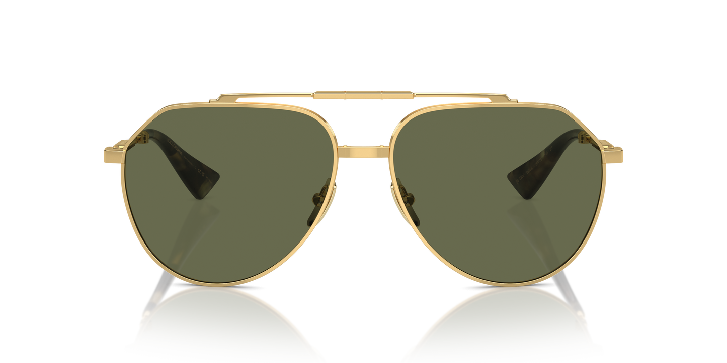 Dolce & Gabbana Sunglasses DG2302 02/58