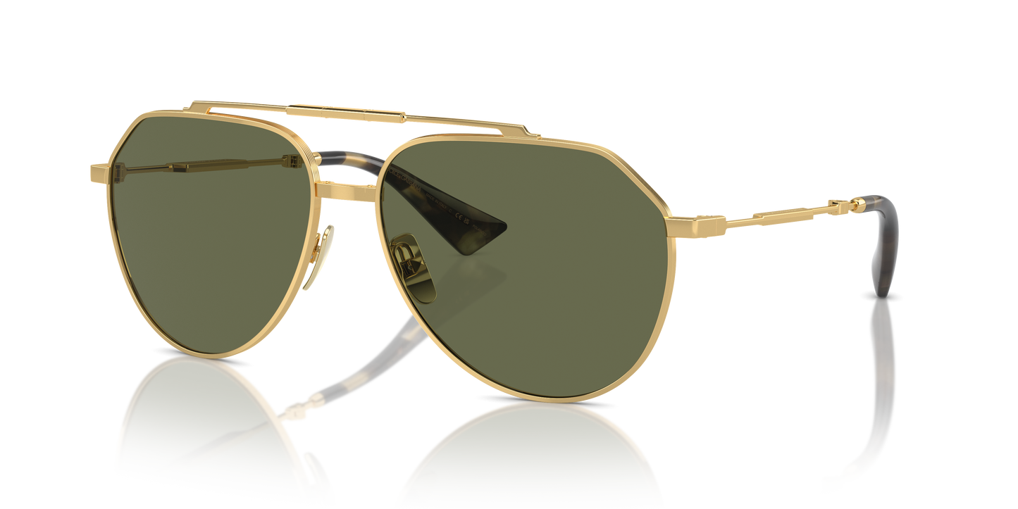 Dolce & Gabbana Sunglasses DG2302 02/58