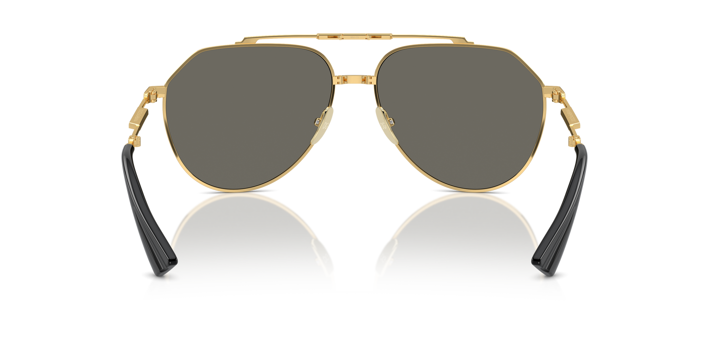 Dolce & Gabbana Sunglasses DG2302 02/R5