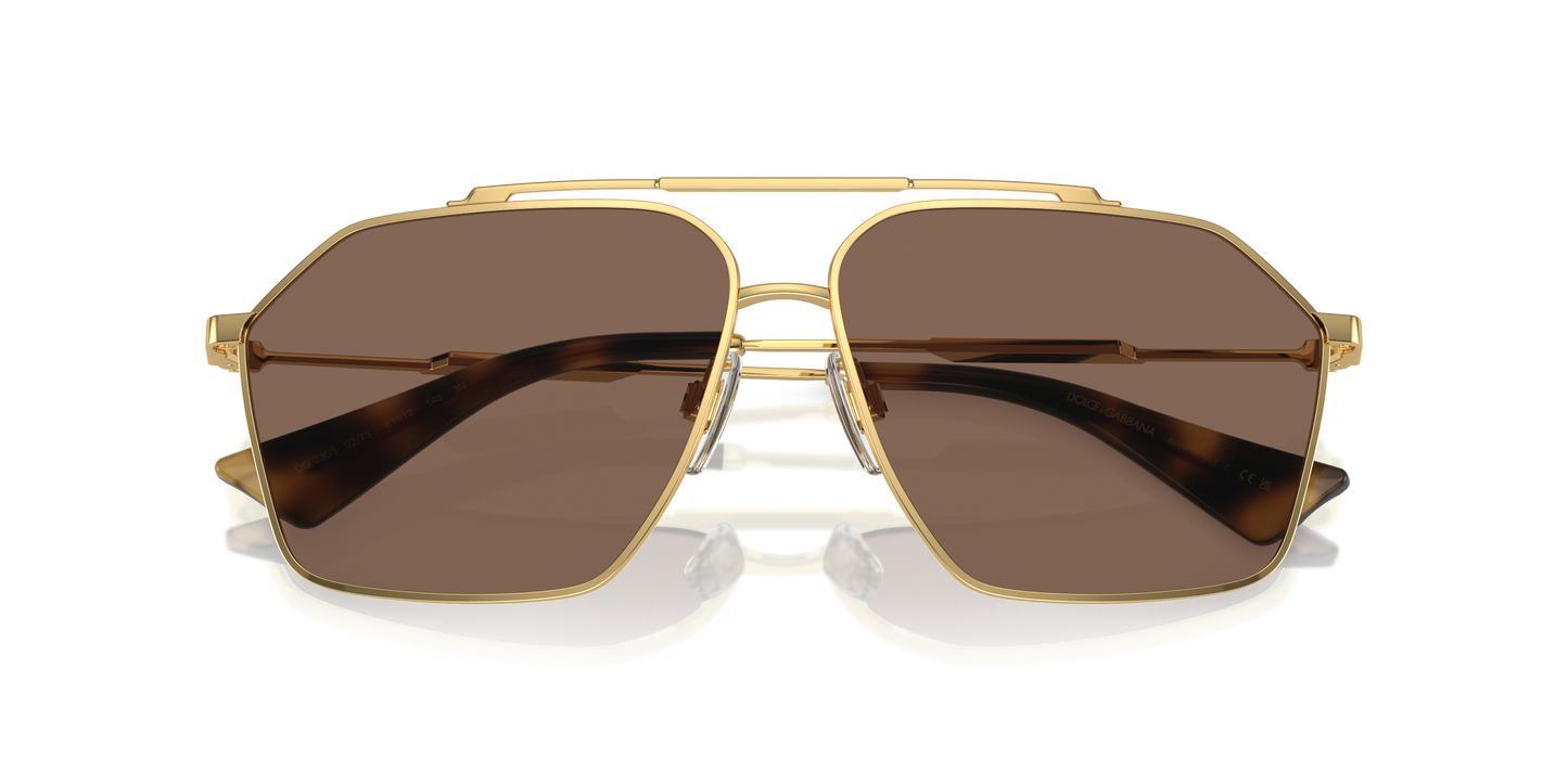 Dolce & Gabbana Sunglasses DG2303 02/73