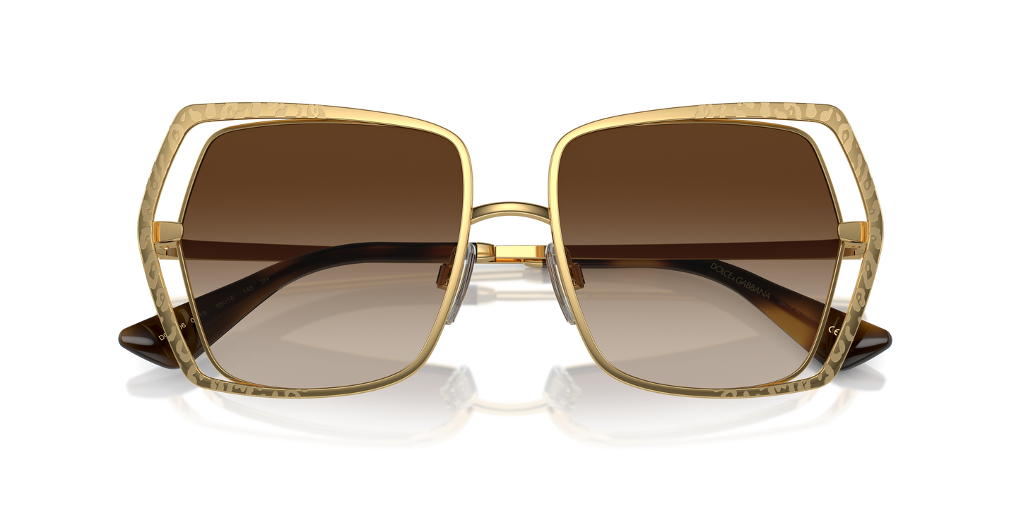 Dolce & Gabbana Sunglasses DG2306 02/13