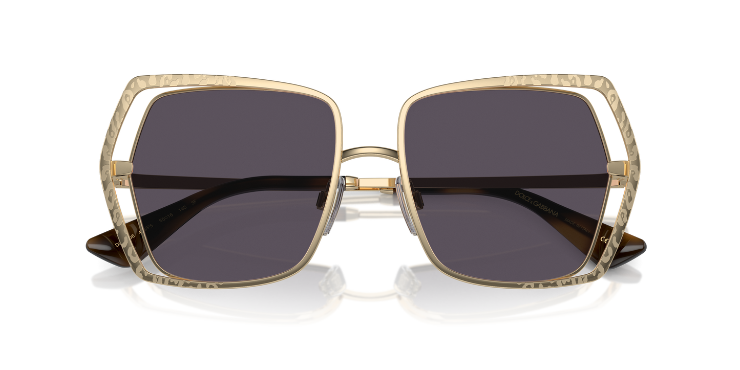 Dolce & Gabbana Sunglasses DG2306 488/P5