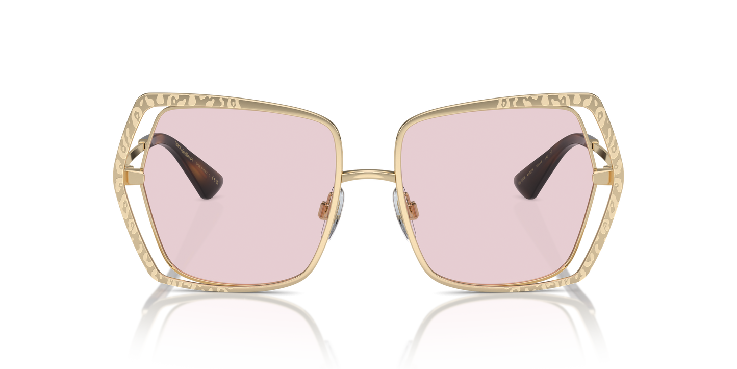 Dolce & Gabbana Sunglasses DG2306 488/P5