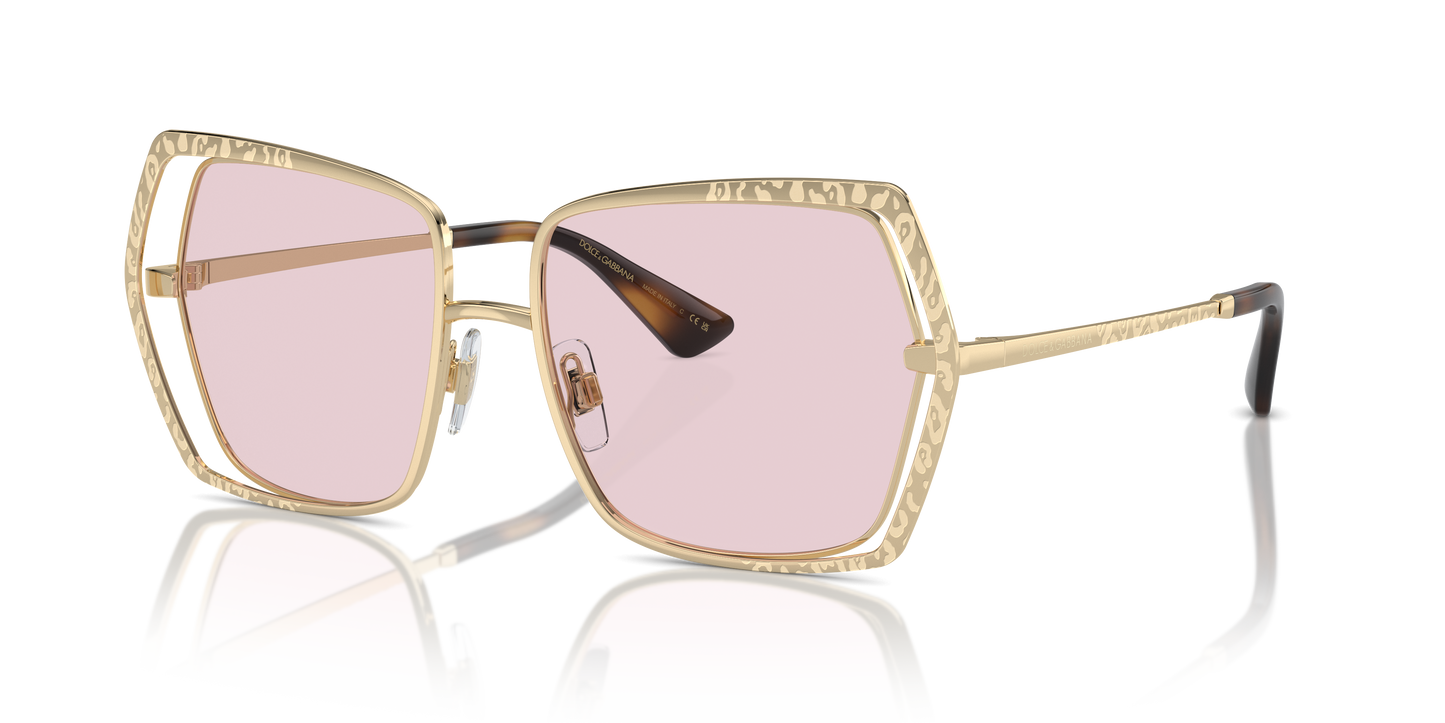 Dolce & Gabbana Sunglasses DG2306 488/P5