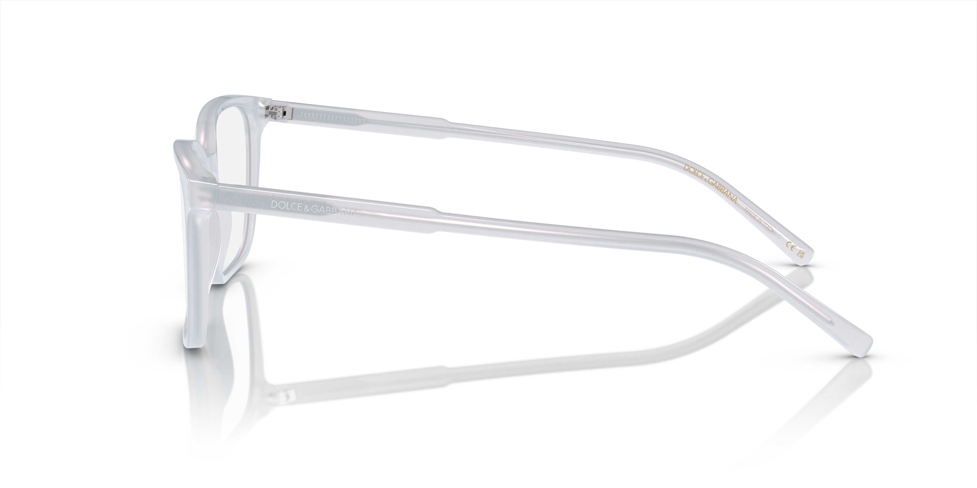 Dolce & Gabbana Eyeglasses DG3365 3420