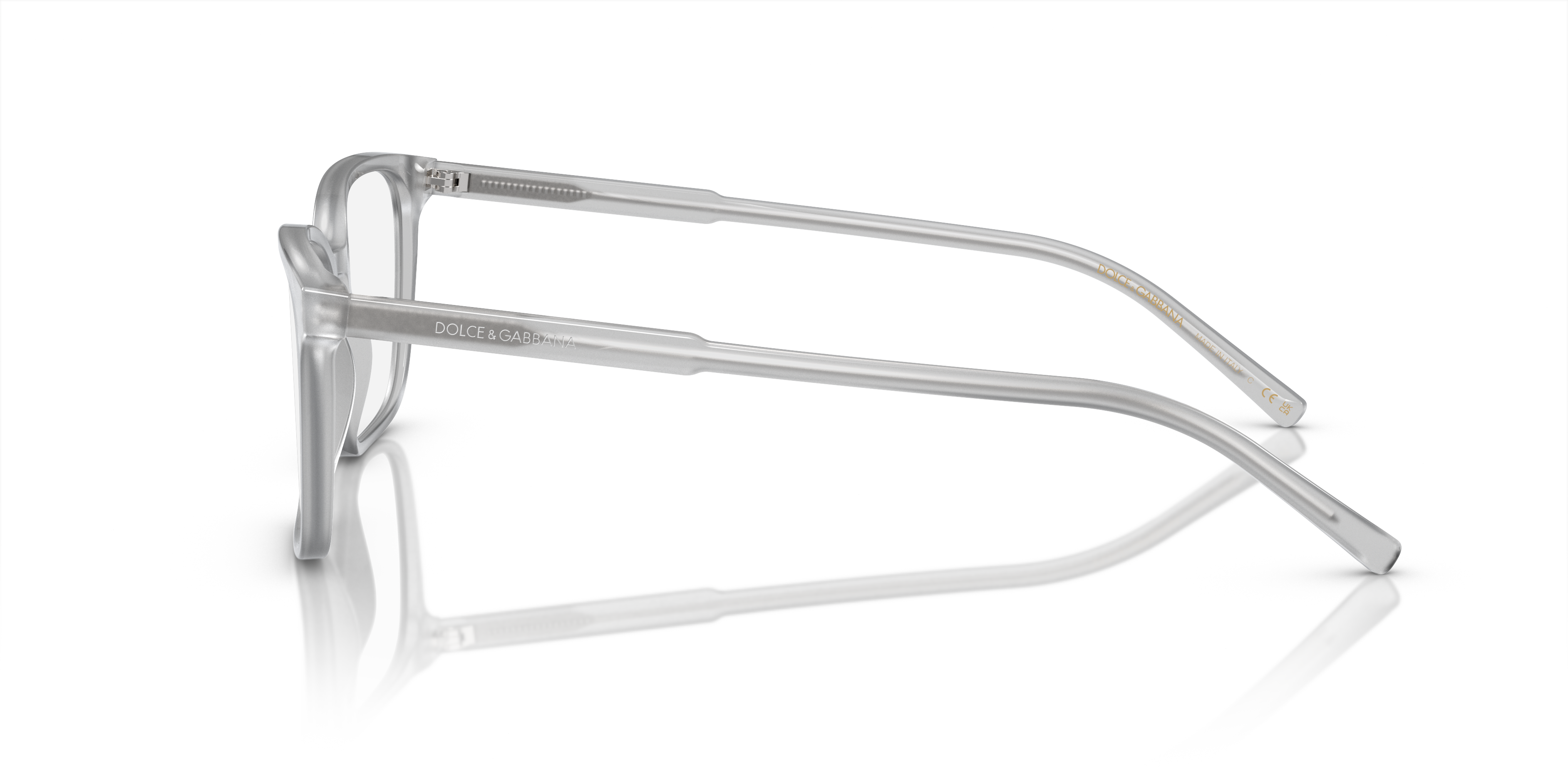 Dolce & Gabbana Eyeglasses DG3365 3421