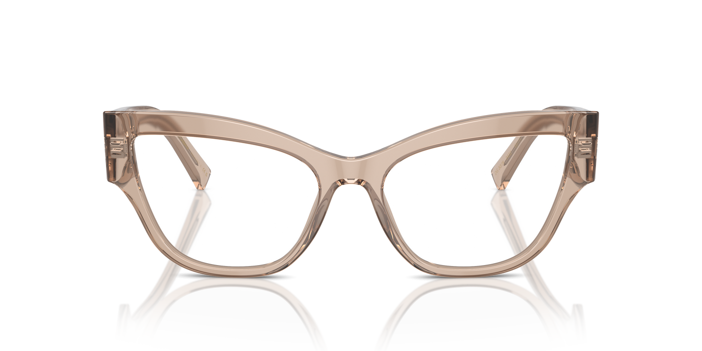 Dolce & Gabbana Eyeglasses DG3378 3432