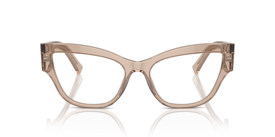 Dolce & Gabbana Eyeglasses DG3378 3432