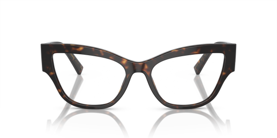 Dolce & Gabbana Eyeglasses DG3378 502