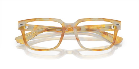 Dolce & Gabbana Eyeglasses DG3380 3422