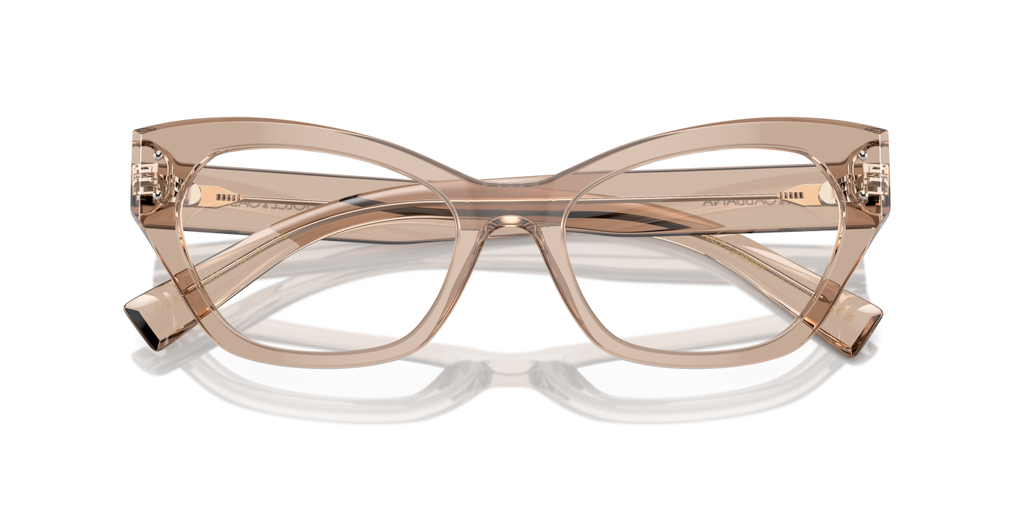 Dolce & Gabbana Eyeglasses DG3385 3432