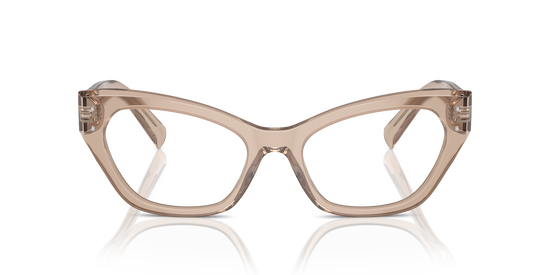 Dolce & Gabbana Eyeglasses DG3385 3432