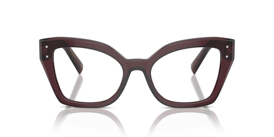 Dolce & Gabbana Eyeglasses DG3386 3045