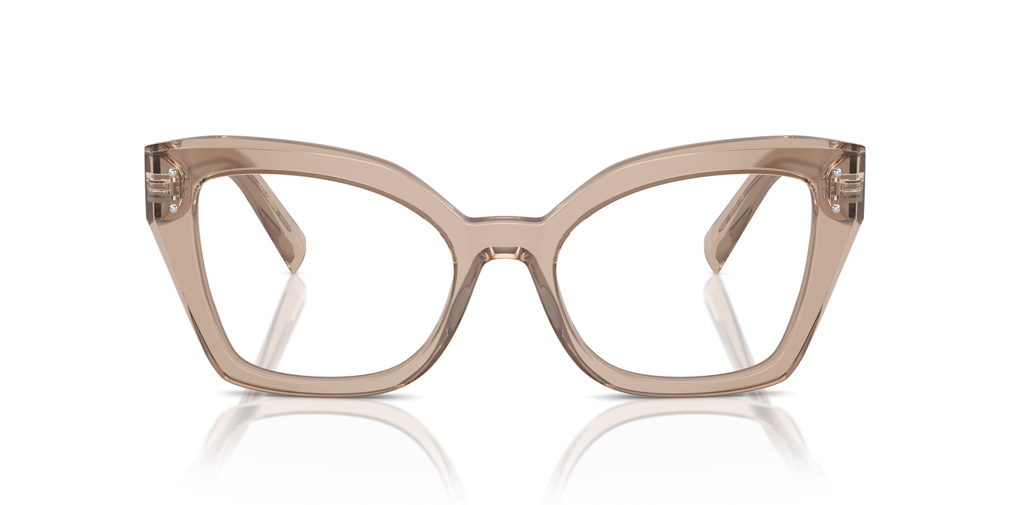 Dolce & Gabbana Eyeglasses DG3386 3432