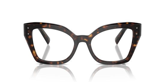 Dolce & Gabbana Eyeglasses DG3386 502