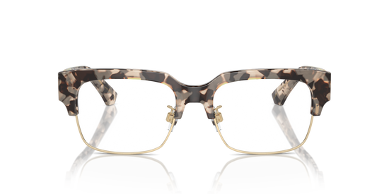 Dolce & Gabbana Eyeglasses DG3388 3434