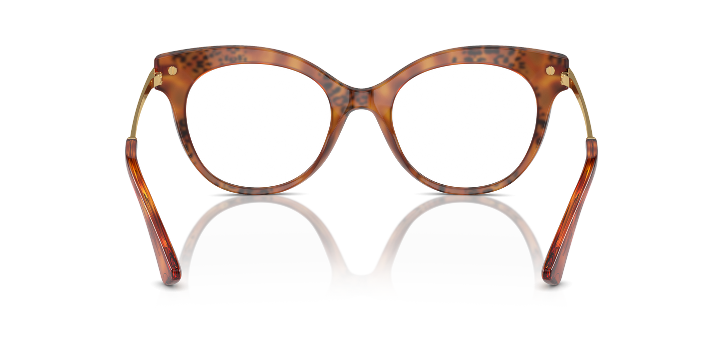 Dolce & Gabbana Eyeglasses DG3392 3380