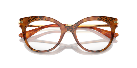 Dolce & Gabbana Eyeglasses DG3392 3380