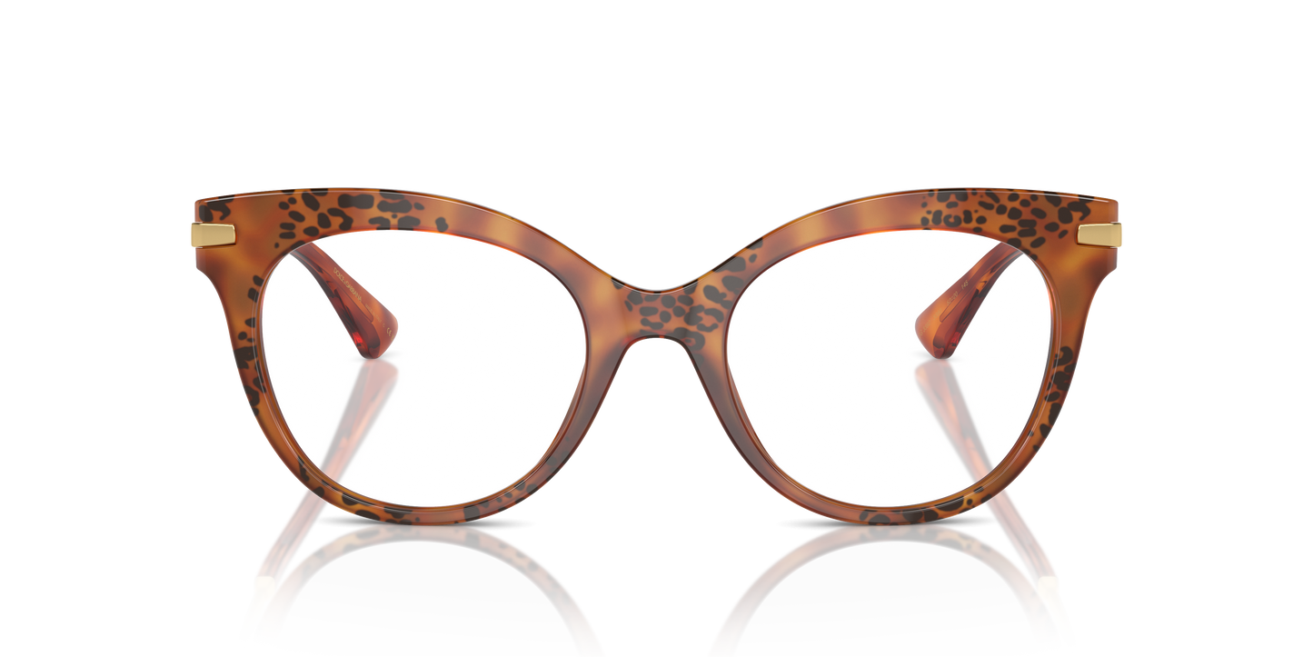 Dolce & Gabbana Eyeglasses DG3392 3380