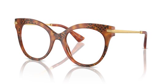 Dolce & Gabbana Eyeglasses DG3392 3380