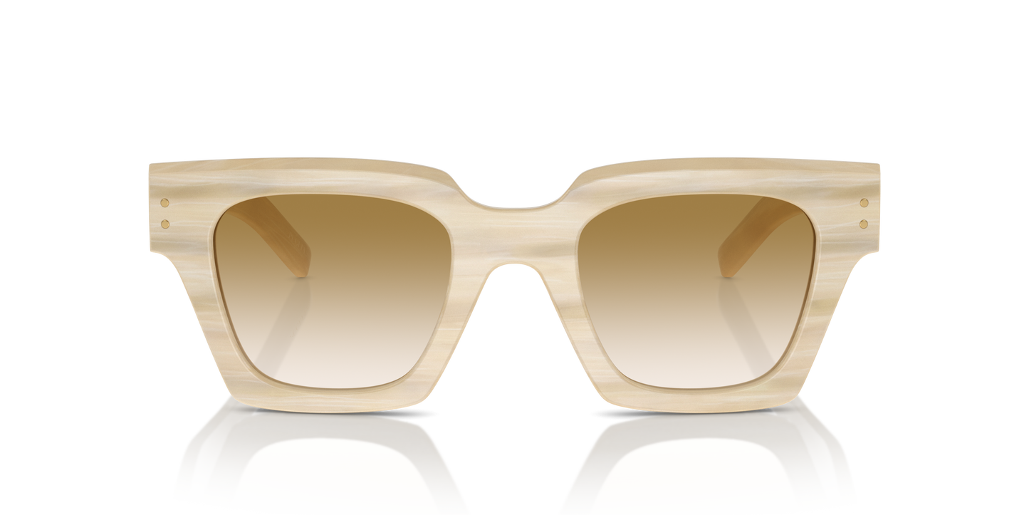 Dolce & Gabbana Sunglasses DG4413 343013