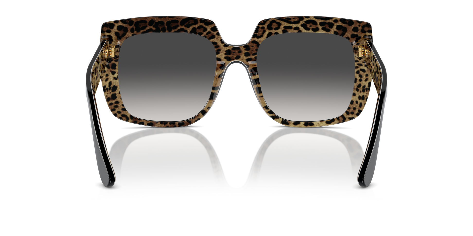 Dolce & Gabbana Sunglasses DG4414 32998G