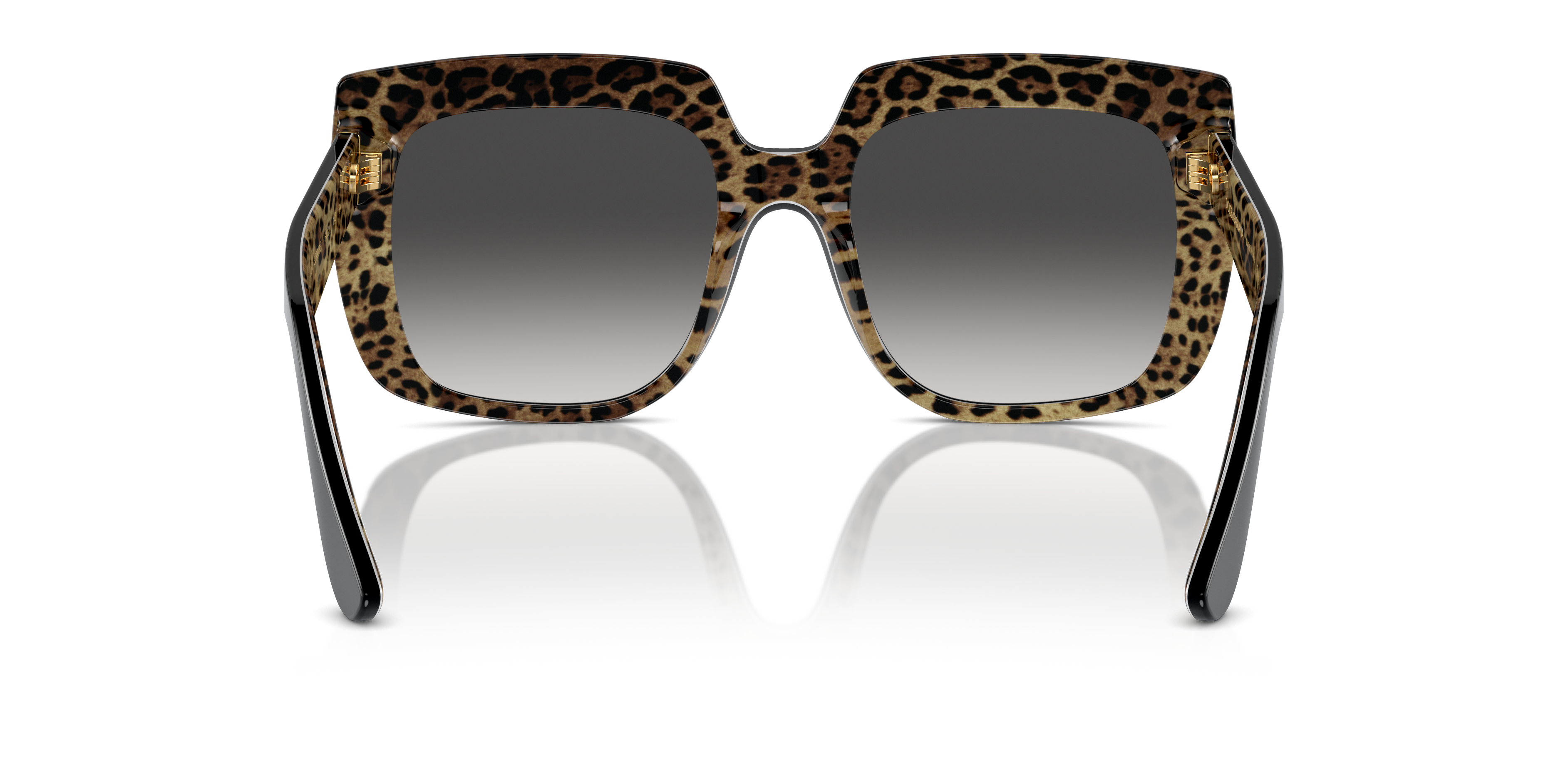 Dolce & Gabbana Sunglasses DG4414 32998G