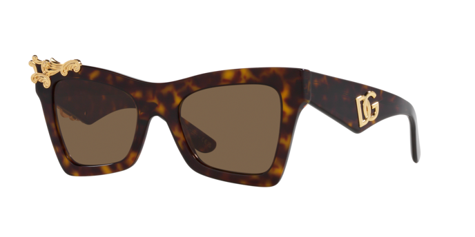 Dolce & Gabbana Sunglasses DG4434 502/73