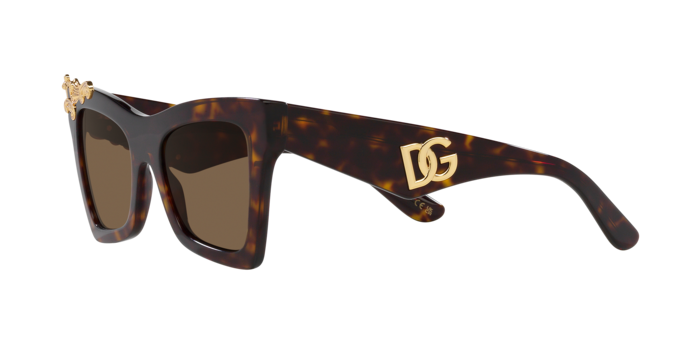 Dolce & Gabbana Sunglasses DG4434 502/73