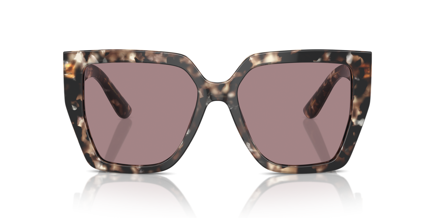 Dolce & Gabbana Sunglasses DG4438 34387N