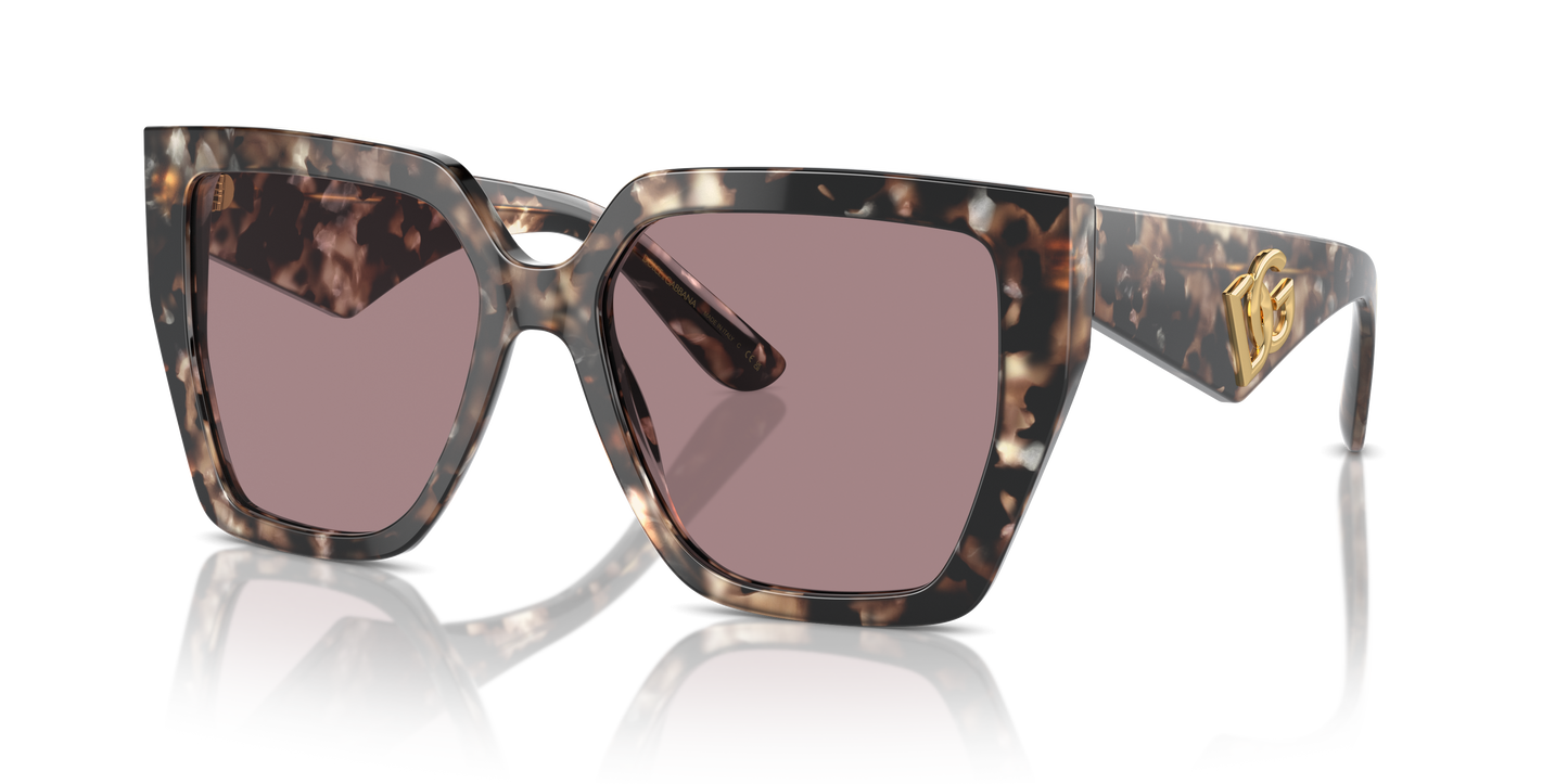 Dolce & Gabbana Sunglasses DG4438 34387N