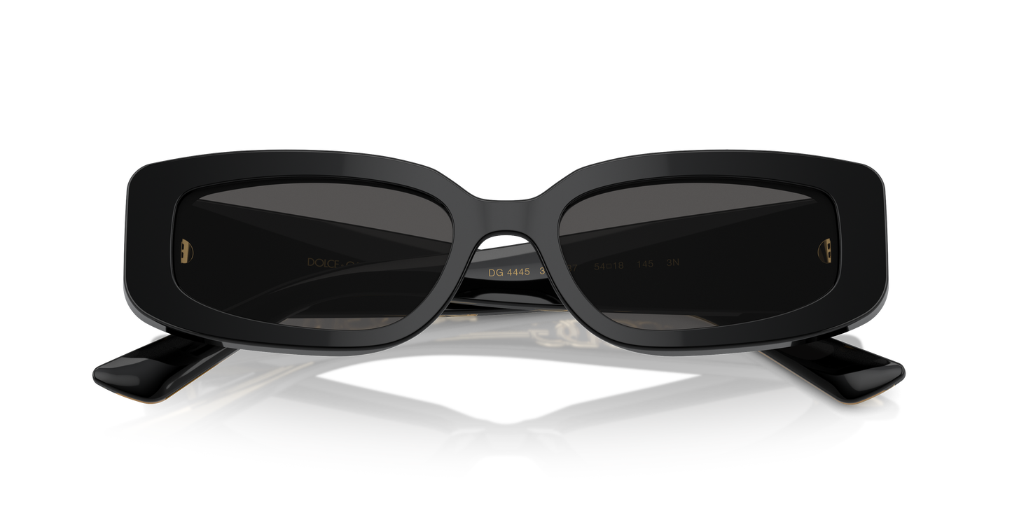 Dolce & Gabbana Sunglasses DG4445 335587