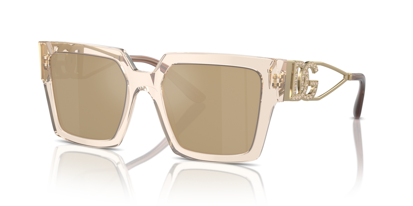 Dolce & Gabbana Sunglasses DG4446B 343203