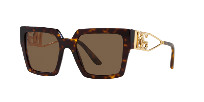 Dolce & Gabbana Sunglasses DG4446B 502/73