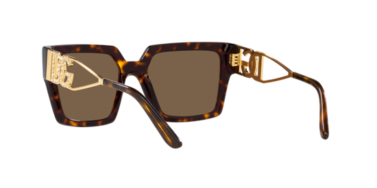 Dolce & Gabbana Sunglasses DG4446B 502/73