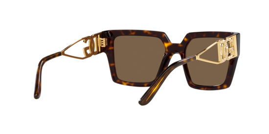 Dolce & Gabbana Sunglasses DG4446B 502/73