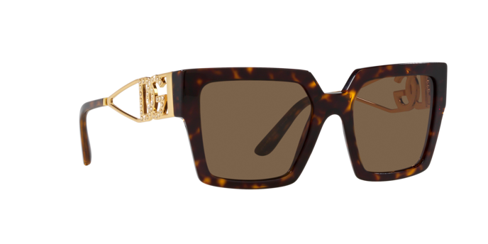 Dolce & Gabbana Sunglasses DG4446B 502/73