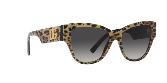 Dolce & Gabbana Sunglasses DG4449 31638G