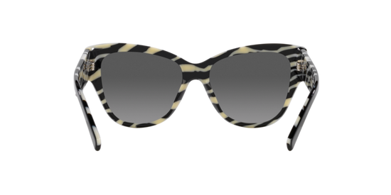 Dolce & Gabbana Sunglasses DG4449 3372/P